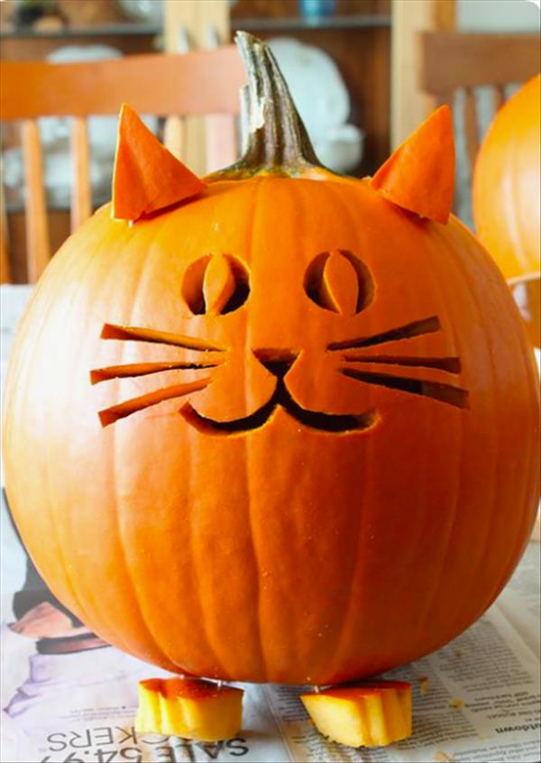 Creative, Unique and Aesthetic Carved Pumpkin Ideas That Are Easy to