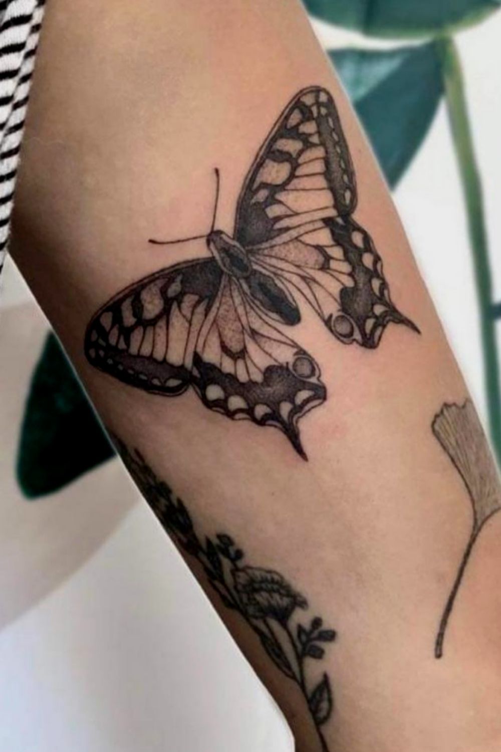 Sexy butterfly tattoo designs