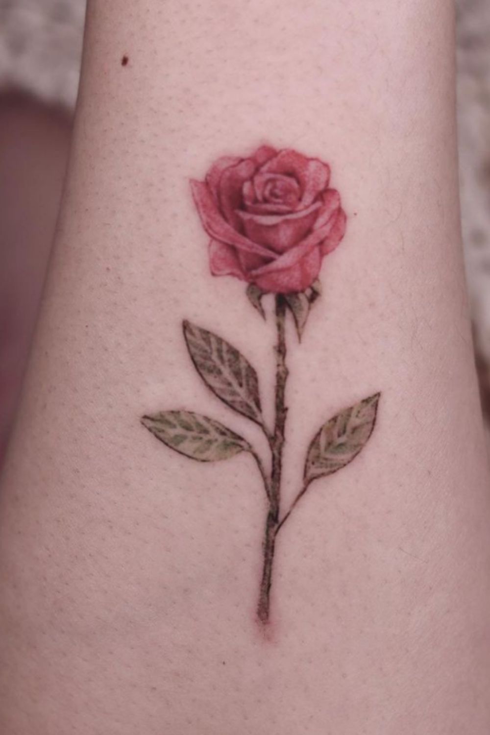 Elegant Rose Tattoo Designs for Sweet Women You Must Love 2021