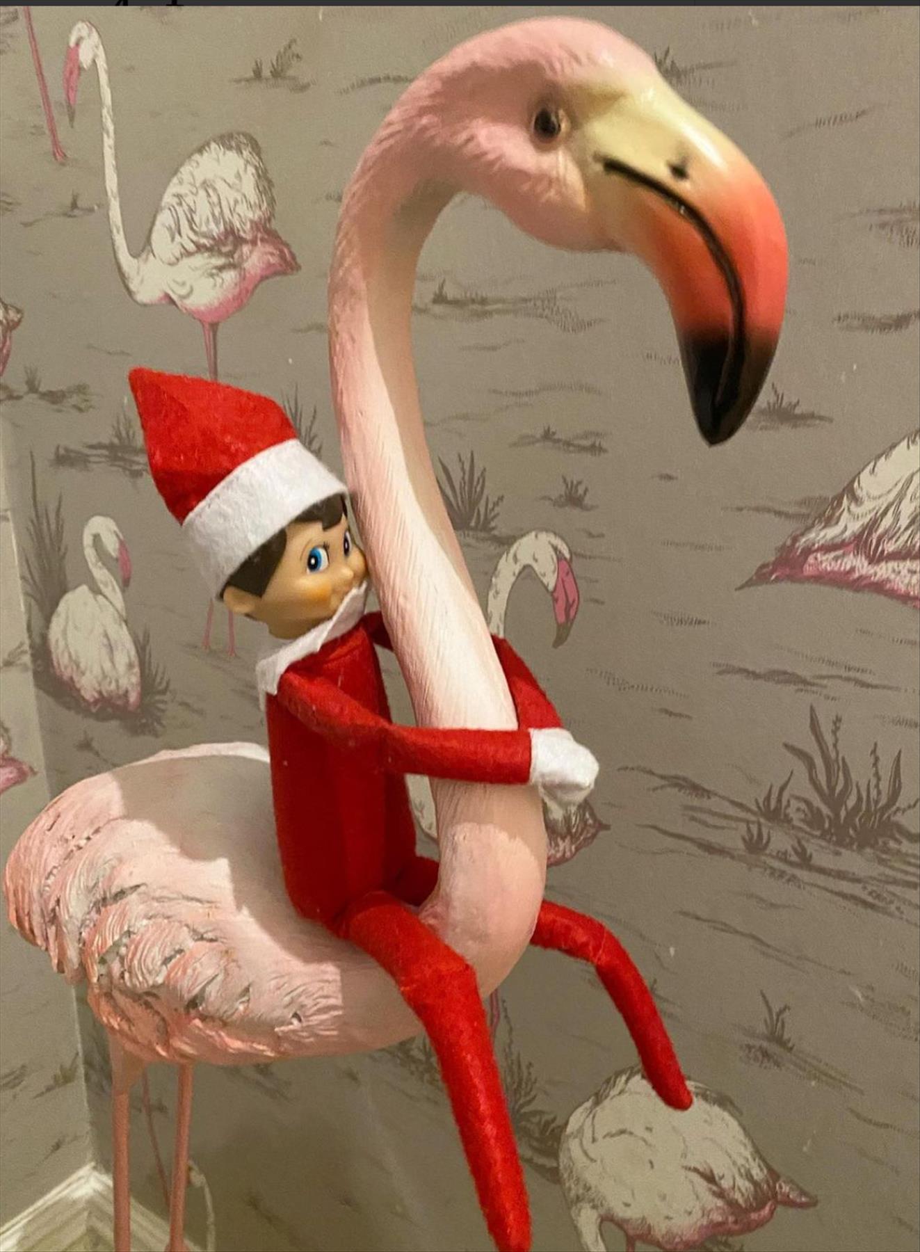 Naughty Elf on the Shelf Ideas for Christmas 2021